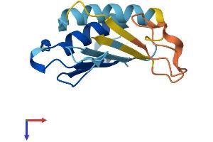 AlphaFold protein structure predicition of Human Recombinant DDTL Protein, UniprotID A6NHG4 (DDTL Protein (AA 1-134) (His tag))
