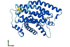 AlphaFold protein structure predicition of Human Recombinant MT-ND1 Protein, UniprotID P03886 (MT-ND1 Protein (AA 1-318) (His tag))