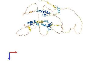 AlphaFold protein structure predicition of Human Recombinant ZNF385B Protein, UniprotID Q569K4