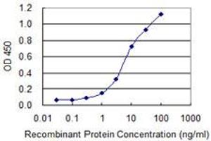 Detection limit for recombinant GST tagged EBF1 is 0. (EBF1 antibody  (AA 1-591))