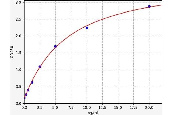 ube3a ELISA Kit