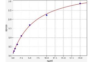 Typical standard curve (ube3a ELISA Kit)