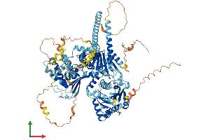 AlphaFold protein structure predicition of Human Recombinant DDX12P Protein, UniprotID Q92771 (DDX12P Protein (AA 1-950) (His tag))