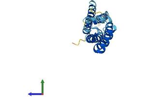 AlphaFold protein structure predicition of Human Recombinant TSPAN13 Protein, UniprotID O95857 (TSPAN13 Protein (AA 1-204) (His tag))