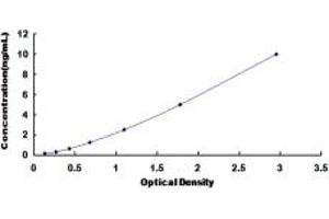 Typical standard curve (DLL4 ELISA Kit)