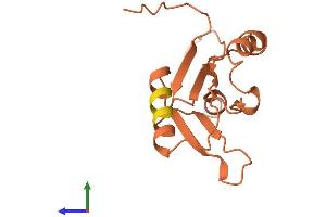 AlphaFold protein structure predicition of Human Recombinant FER1L6-AS2 Protein, UniprotID Q96M78 (FER1L6-AS2 Protein (AA 1-137) (His tag))