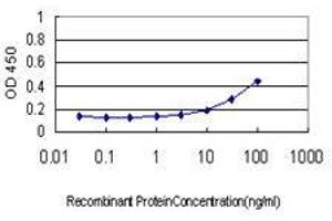 Image no. 1 for anti-Ribosomal Protein L19 (RPL19) (AA 1-101) antibody (ABIN465969) (RPL19 antibody  (AA 1-101))