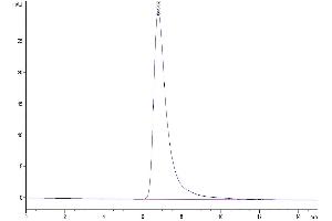 The purity of Biotinylated Human TGF-beta RII is greater than 95 % as determined by SEC-HPLC. (TGFBR2 Protein (AA 24-159) (mFc-Avi Tag,Biotin))
