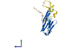 AlphaFold protein structure predicition of Human Recombinant CRYAB Protein, UniprotID P02511 (CRYAB Protein (AA 1-175) (His tag))