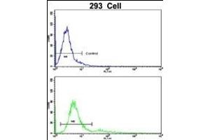 Flow cytometric analysis of 293 cells using BLC Antibody (N-term)(bottom histogram) compared to a negative control cell (top histogram). (BAALC antibody  (N-Term))