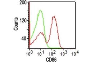 Flow Cytometric Analysis of human PBMCs using CD86 Mouse Monoclonal Antibody (BU63); Goat anti-Mouse IgG-CF488 (red); Isotype Control (green). (CD86 antibody)