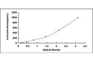 Fibroblast Growth Factor 15 (FGF15) ELISA Kit