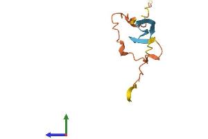 AlphaFold protein structure predicition of Human Recombinant LINC00208 Protein, UniprotID Q96KT6 (LINC00208 Protein (AA 1-92) (Fc Tag))