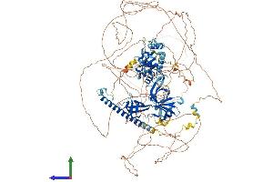 AlphaFold protein structure predicition of Human Recombinant ARID4B Protein, UniprotID Q4LE39 (BRCAA1 Protein (AA 1-1312) (His tag))