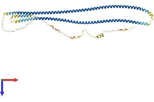 Chromosome 9 Open Reading Frame 117 (C9orf117) (AA 1-520) protein (His tag)
