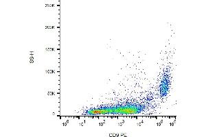 Flow cytometry analysis (surface staining) of CD9 in murine peritoneal fluid cells with anti-CD9 (EM-04) PE. (CD9 antibody  (PE))