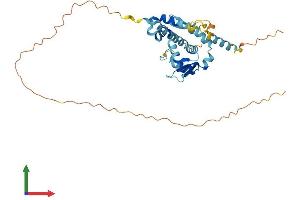 AlphaFold protein structure predicition of Human Recombinant NDN Protein, UniprotID Q99608