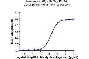 Immobilized Human NKp46, mFc Tag at 0. (NCR1 Protein (AA 22-255) (mFc Tag))
