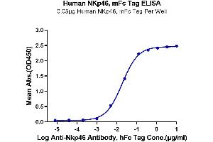 Immobilized Human NKp46, mFc Tag at 0. (NCR1 Protein (mFc Tag))