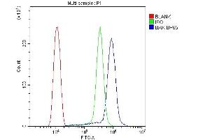 Flow Cytometry analysis of THP-1 cells using anti-BAK antibody (ABIN3042342). (BAK1 antibody  (AA 22-211))
