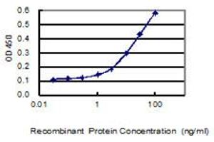 Detection limit for recombinant GST tagged SERTAD4 is 0. (SERTAD4 antibody  (AA 1-356))