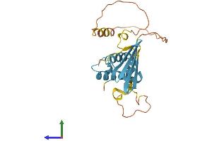 Protein Structure (PS) image for DnaJ (Hsp40) Homolog, Subfamily B, Member 8 (DNAJB8) (AA 1-227) protein (His tag) (ABIN7561792)