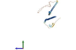 AlphaFold protein structure predicition of Human Recombinant KRT28 Protein, UniprotID Q7Z3Y7 (Cytokeratin 28 Protein (KRT28) (AA 1-464) (His tag))