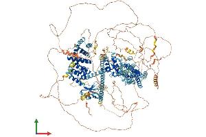 AlphaFold protein structure predicition of Mouse Recombinant Fhod3 Protein, UniprotID Q76LL6 (FHOD3 Protein (AA 1-1578) (His tag))