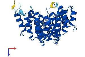 DOHH Protein (AA 1-302) (His tag)