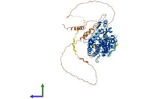 Protein Structure (PS) image for NOP2/Sun Domain Family, Member 7 (NSUN7) (AA 1-724) protein (His tag) (ABIN7556977)