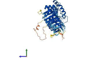 Protein Structure (PS) image for TBCC Domain Containing 1 (TBCCD1) (AA 1-552) protein (His tag) (ABIN7557807)