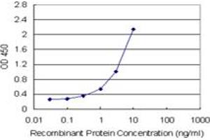 Sandwich ELISA detection sensitivity ranging from 0. (DCTD (Human) Matched Antibody Pair)