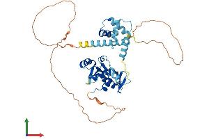 AlphaFold protein structure predicition of Human Recombinant LYAR Protein, UniprotID Q9NX58