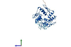 AlphaFold protein structure predicition of Human Recombinant ZNF146 Protein, UniprotID Q15072 (ZNF146 Protein (AA 1-292) (His tag))