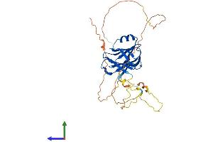 AlphaFold protein structure predicition of Mouse Recombinant Tmed8 Protein, UniprotID Q3UHI4 (TMED8 Protein (AA 1-326) (His tag))