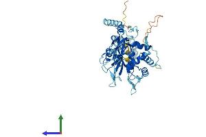 AlphaFold protein structure predicition of Mouse Recombinant Usp14 Protein, UniprotID Q9JMA1 (USP14 Protein (AA 1-493) (His tag))