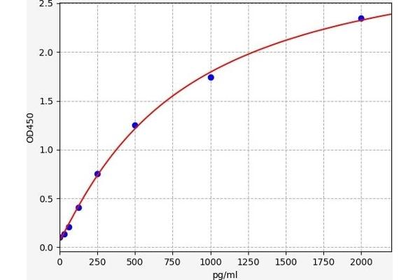 CD5L ELISA Kit