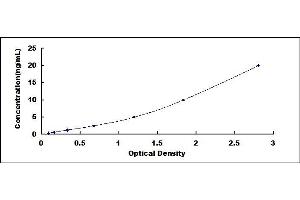 Typical standard curve (Phenylalanine Hydroxylase ELISA Kit)