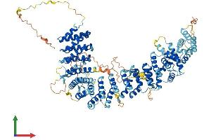 AlphaFold protein structure predicition of Human Recombinant TEX10 Protein, UniprotID Q9NXF1
