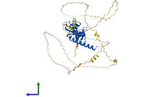 Protein Structure (PS) image for Stromal Membrane Associated Protein 1 (SMAP1) (AA 1-440) protein (His tag) (ABIN7560006)
