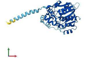 Protein Structure (PS) image for Mesoderm Specific Transcript (MEST) (AA 1-335) protein (His tag) (ABIN7549392)