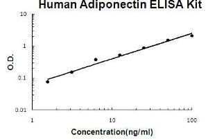Human Adiponectin PicoKine ELISA Kit standard curve (ADIPOQ ELISA Kit)