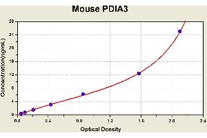 Diagramm of the ELISA kit to detect Mouse PD1 A3with the optical density on the x-axis and the concentration on the y-axis. (PDIA3 ELISA Kit)