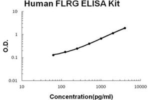 Human FLRG/FSTL3 AccuSignal ELISA Kit standard curve. (FSTL3 ELISA Kit)