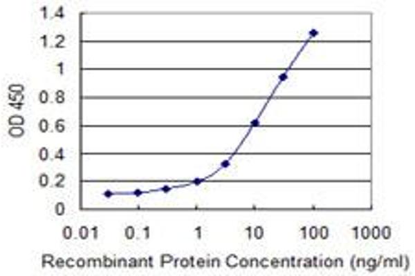 POP7 antibody  (AA 1-80)