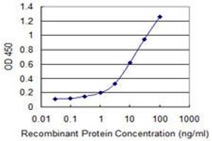 Detection limit for recombinant GST tagged POP7 is 0. (POP7 antibody  (AA 1-80))
