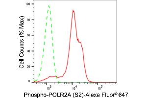 Flow cytometric analysis of Phospho-POLR2A (S2) expression in HeLa cells using Phospho-POLR2A (S2) antibody (ABIN7800262), 1:2,000). (Recombinant POLR2A/RPB1 antibody  (pSer2))