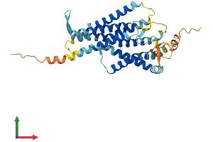 AlphaFold protein structure predicition of Mouse Recombinant Gpr160 Protein, UniprotID Q3U3F9