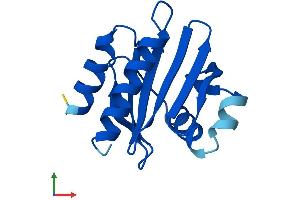 AlphaFold protein structure predicition of Mouse Recombinant Pfn4 Protein, UniprotID Q9D6I3