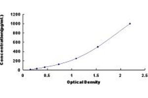 Typical standard curve (FGF18 ELISA Kit)